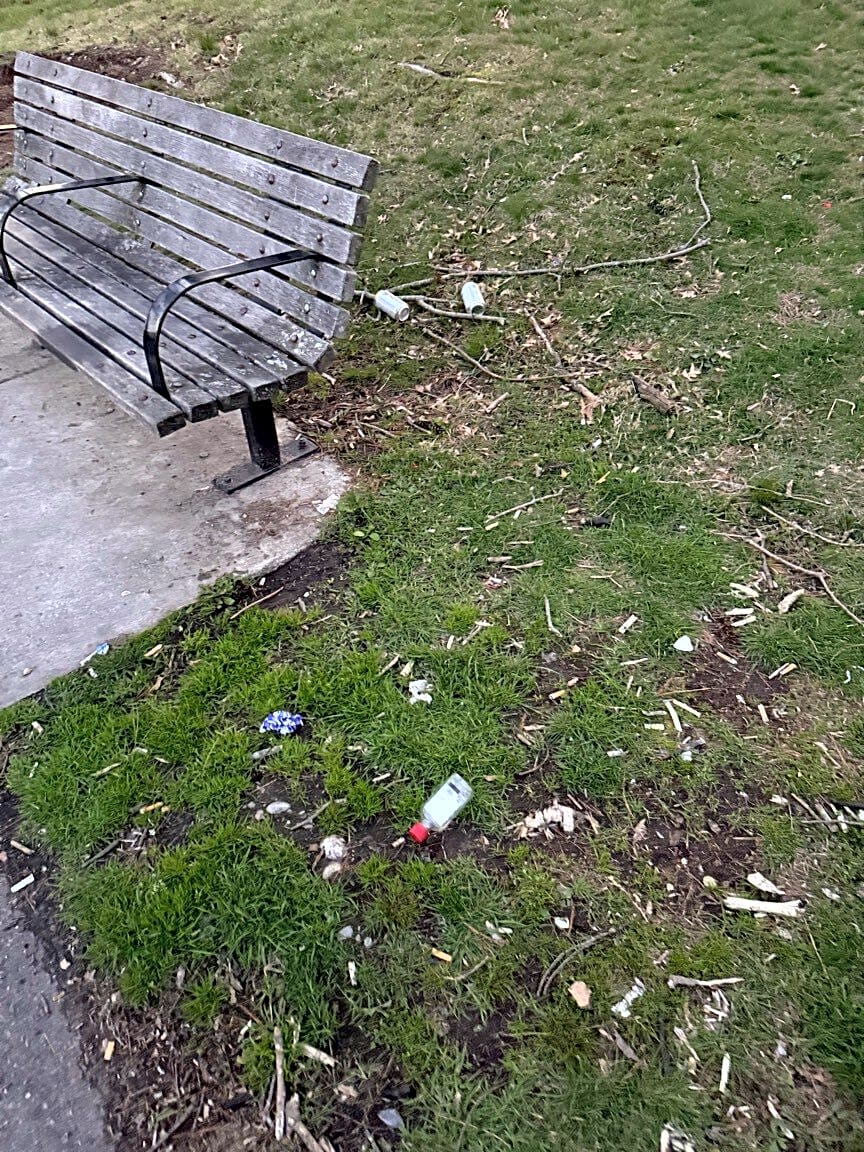 Image submitted with report