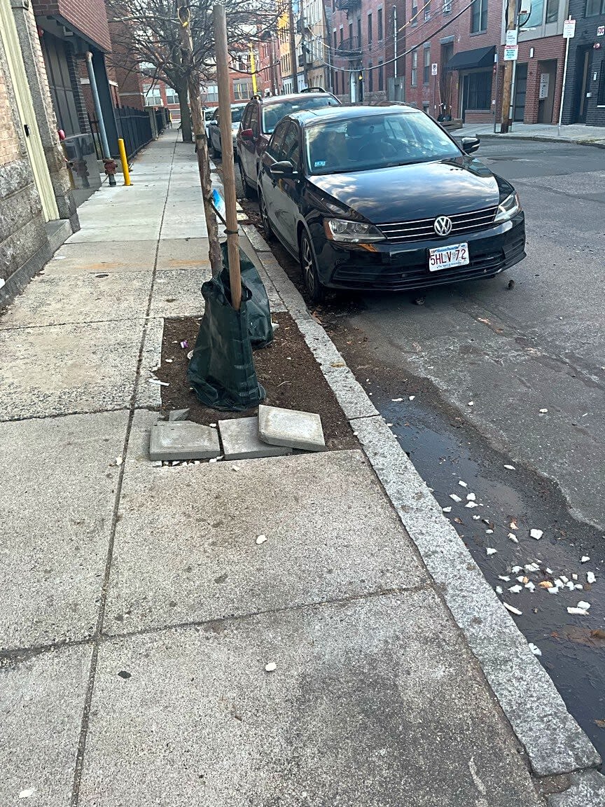 Image submitted with report