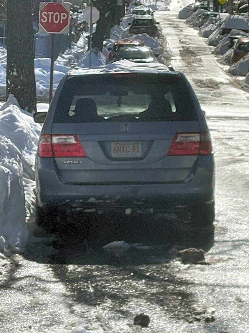 Image submitted with report