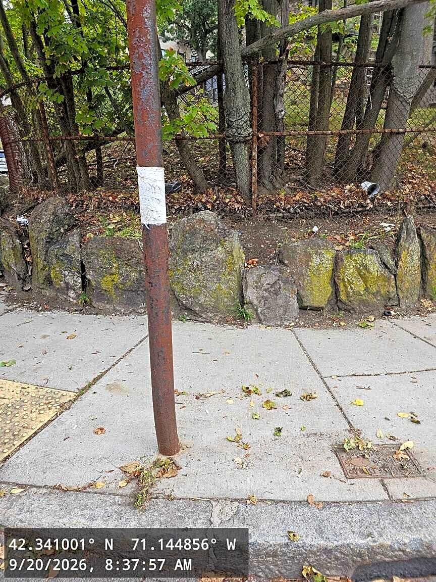 Image submitted with report