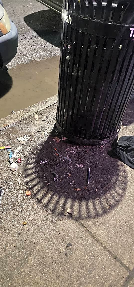 Image submitted with report