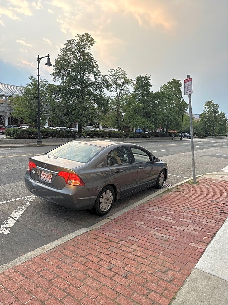 Image submitted with report