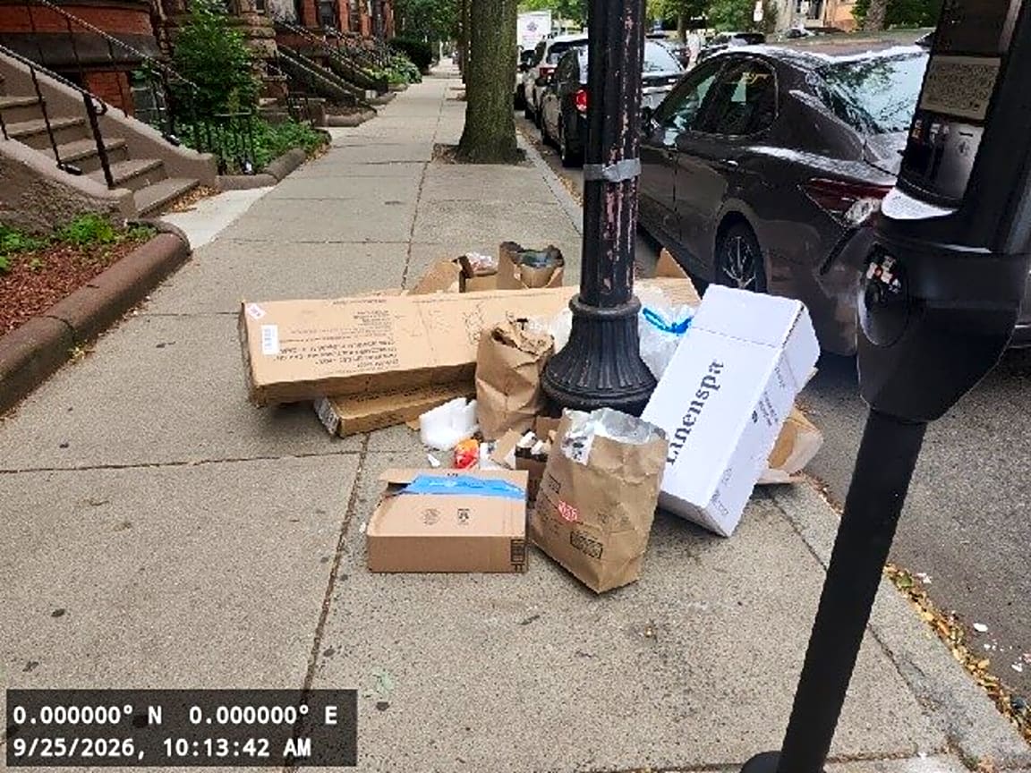 Image submitted with report