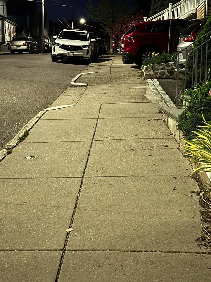 Image submitted with report