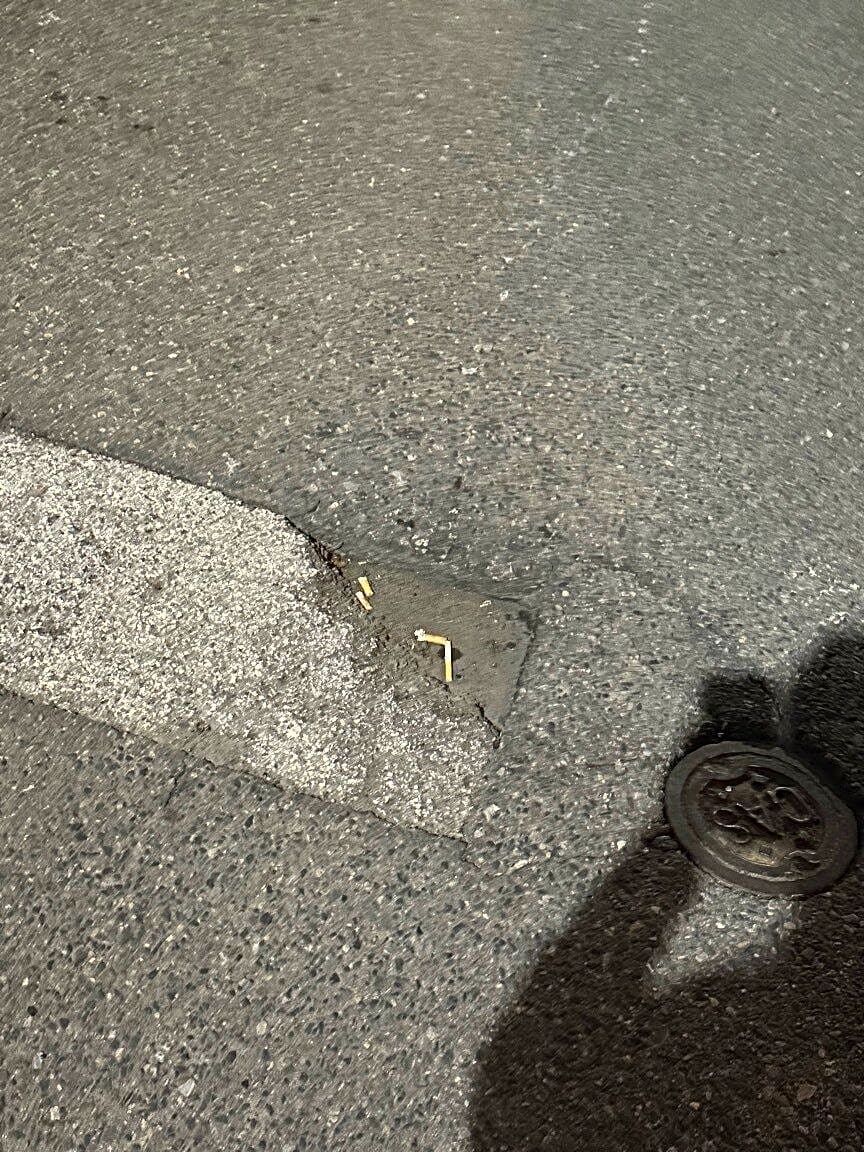 Image submitted with report