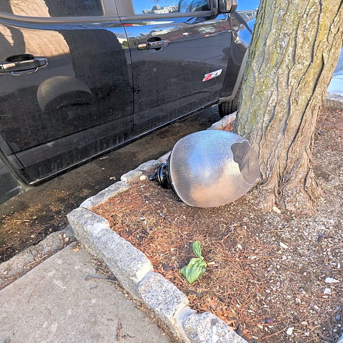 Image submitted with report