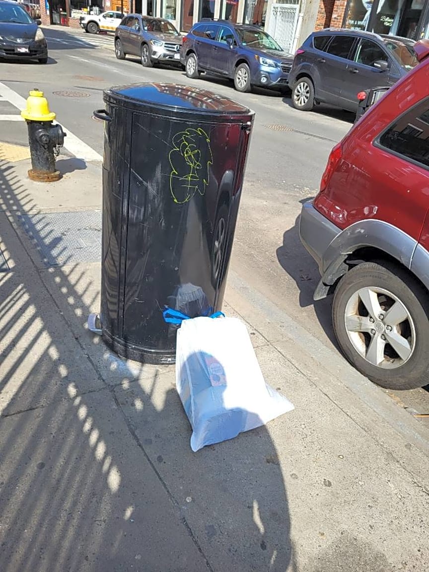 Image submitted with report