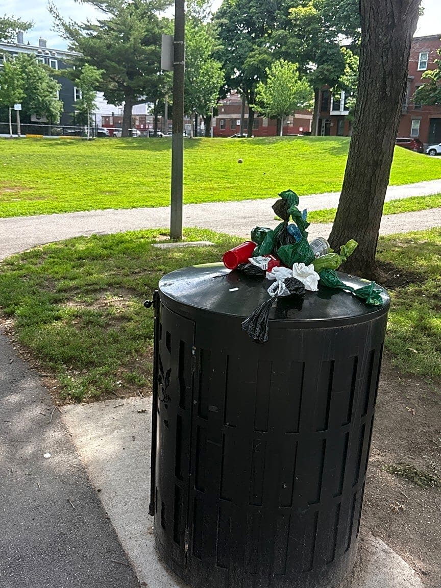 Image submitted with report