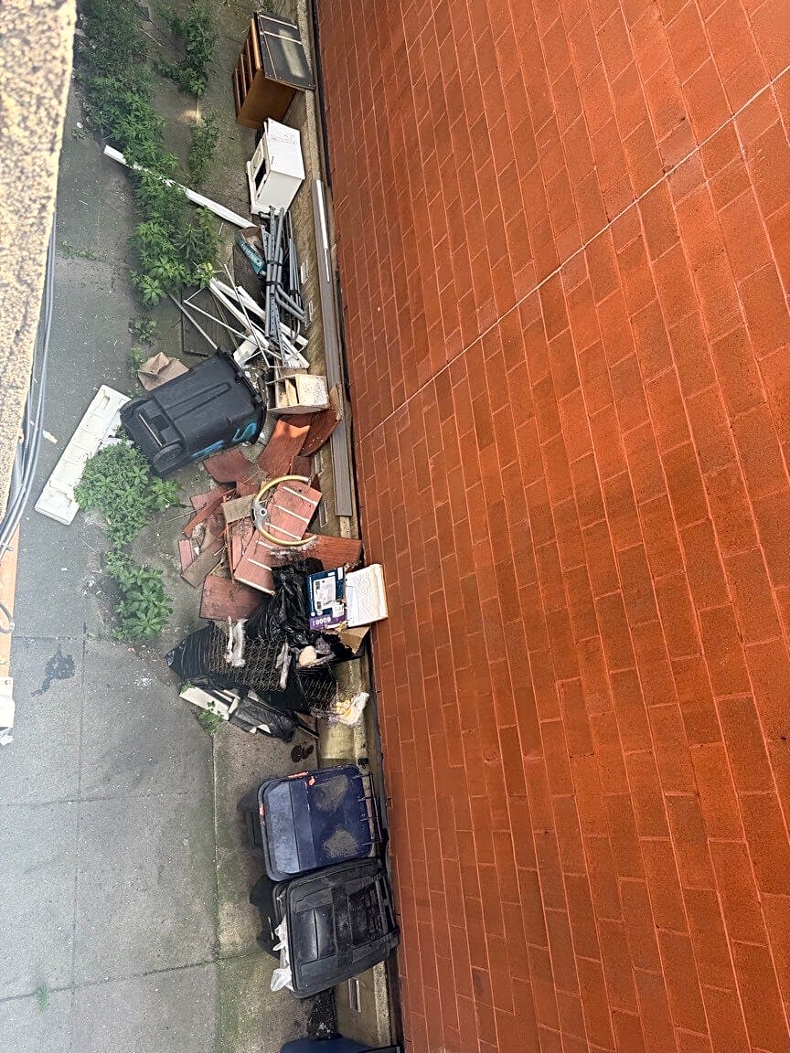 Image submitted with report