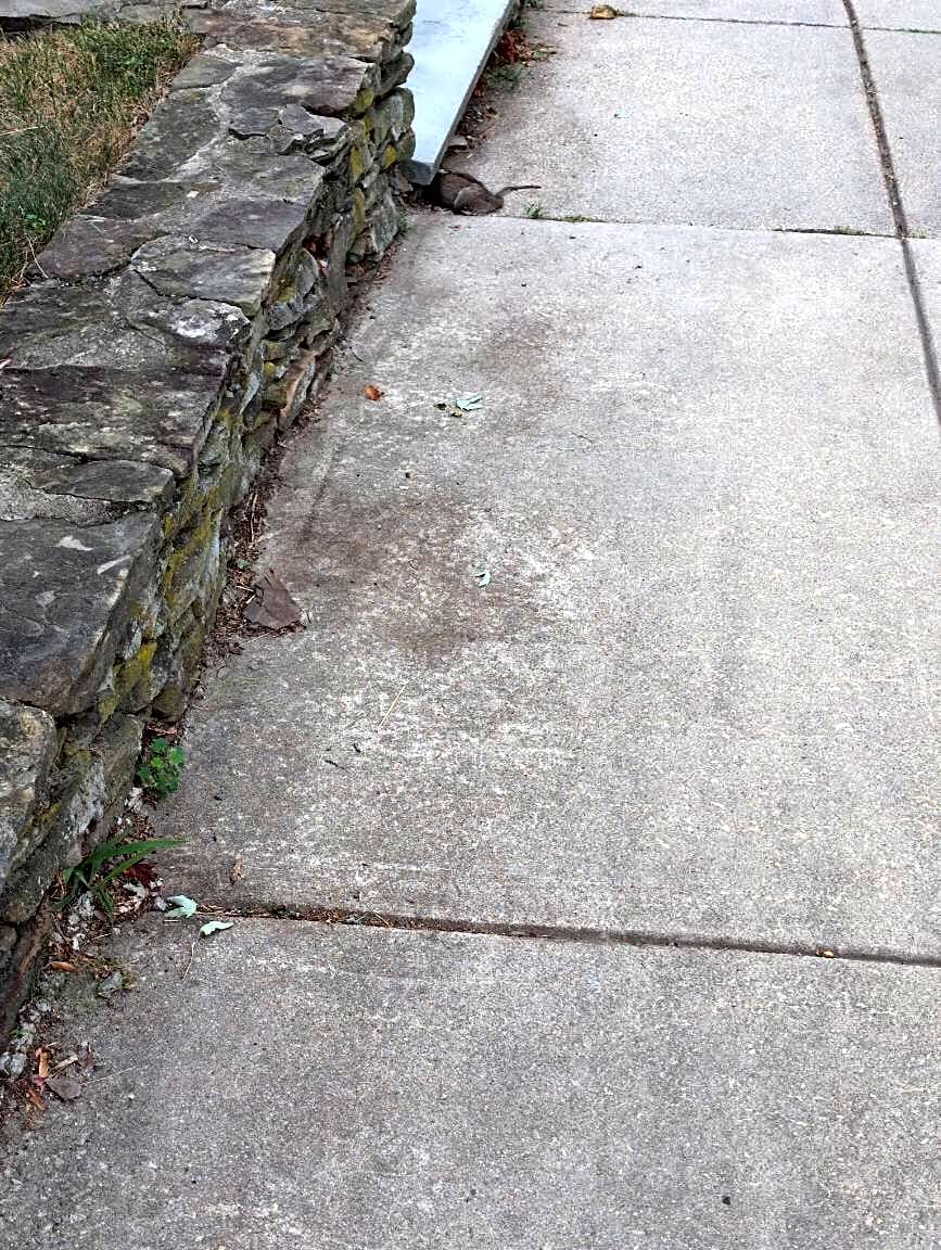 Image submitted with report