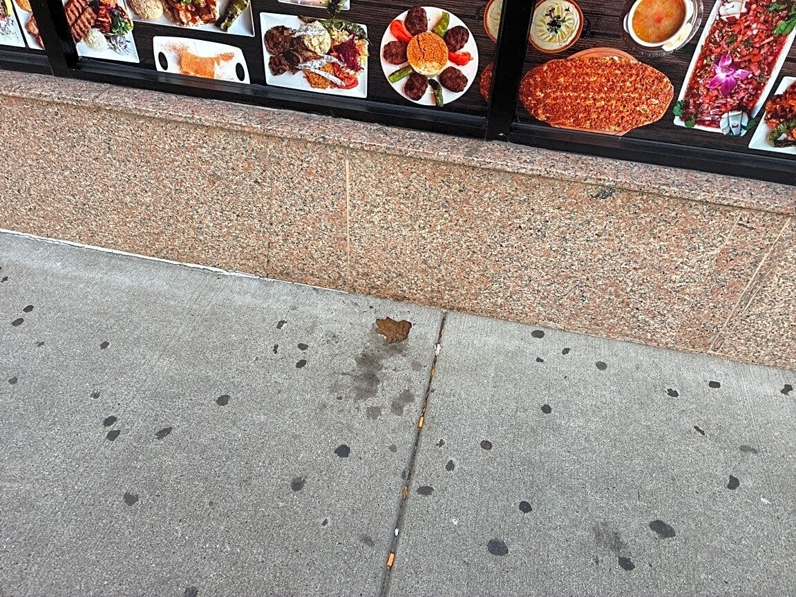 Image submitted with report