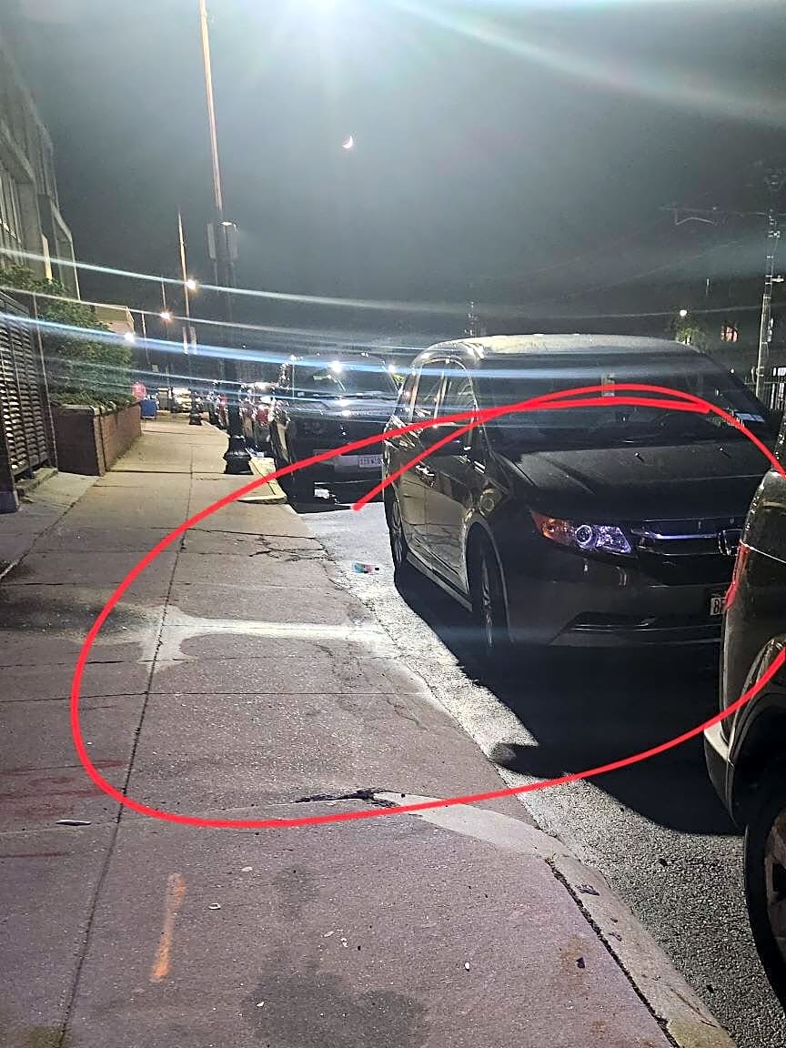 Image submitted with report