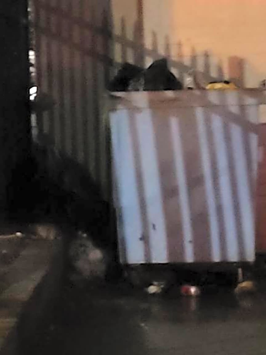 Image submitted with report