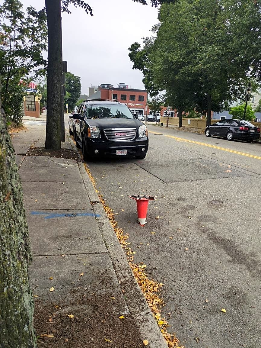 Image submitted with report