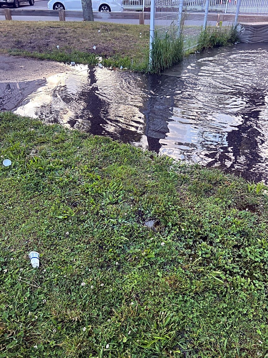 Image submitted with report