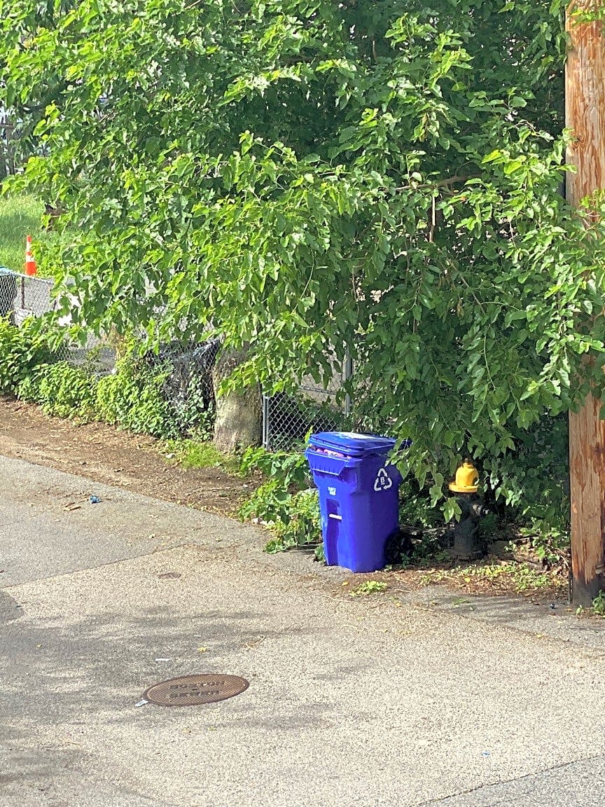 Image submitted with report