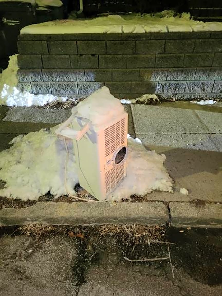 Image submitted with report