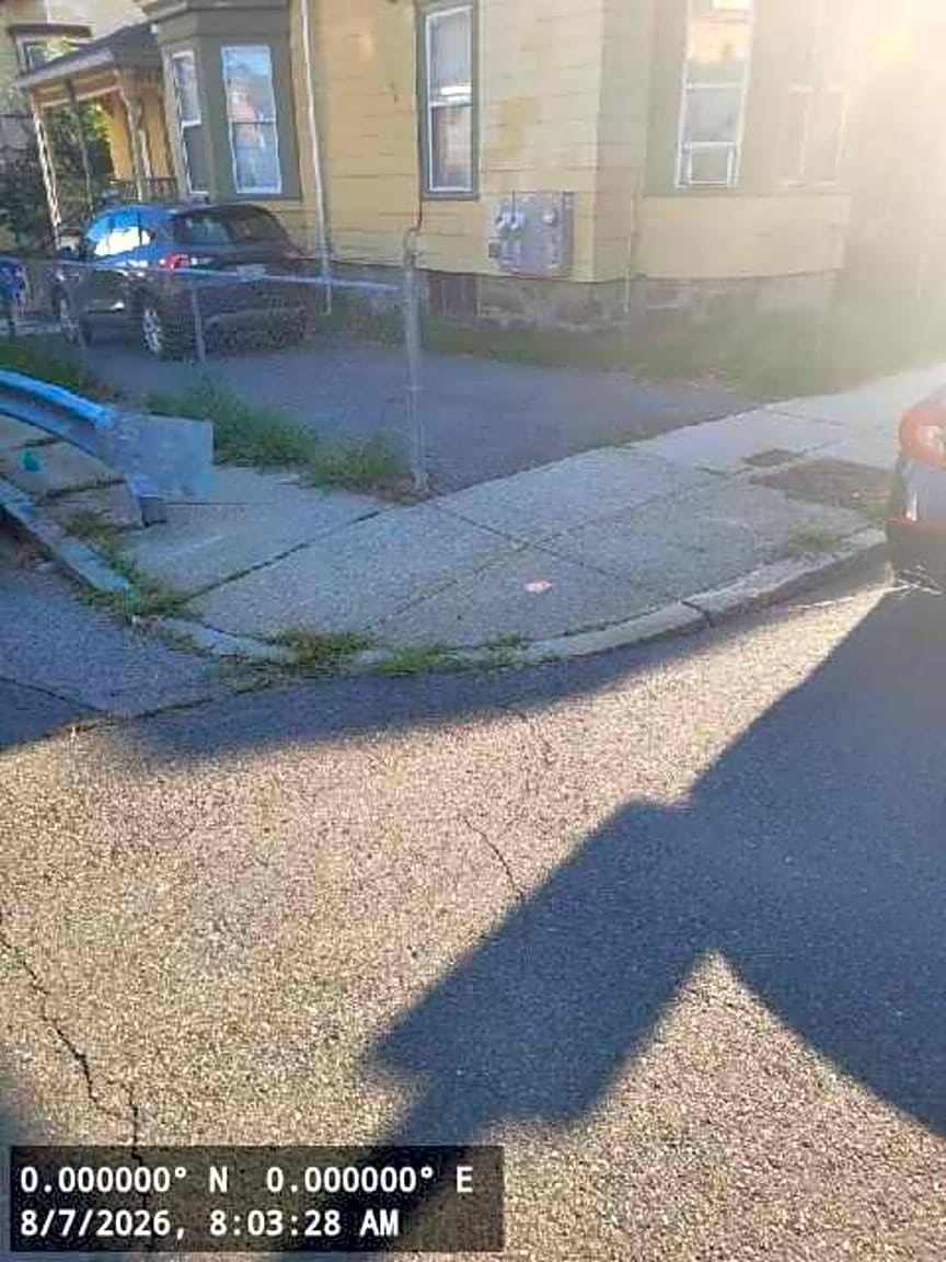 Image submitted with report
