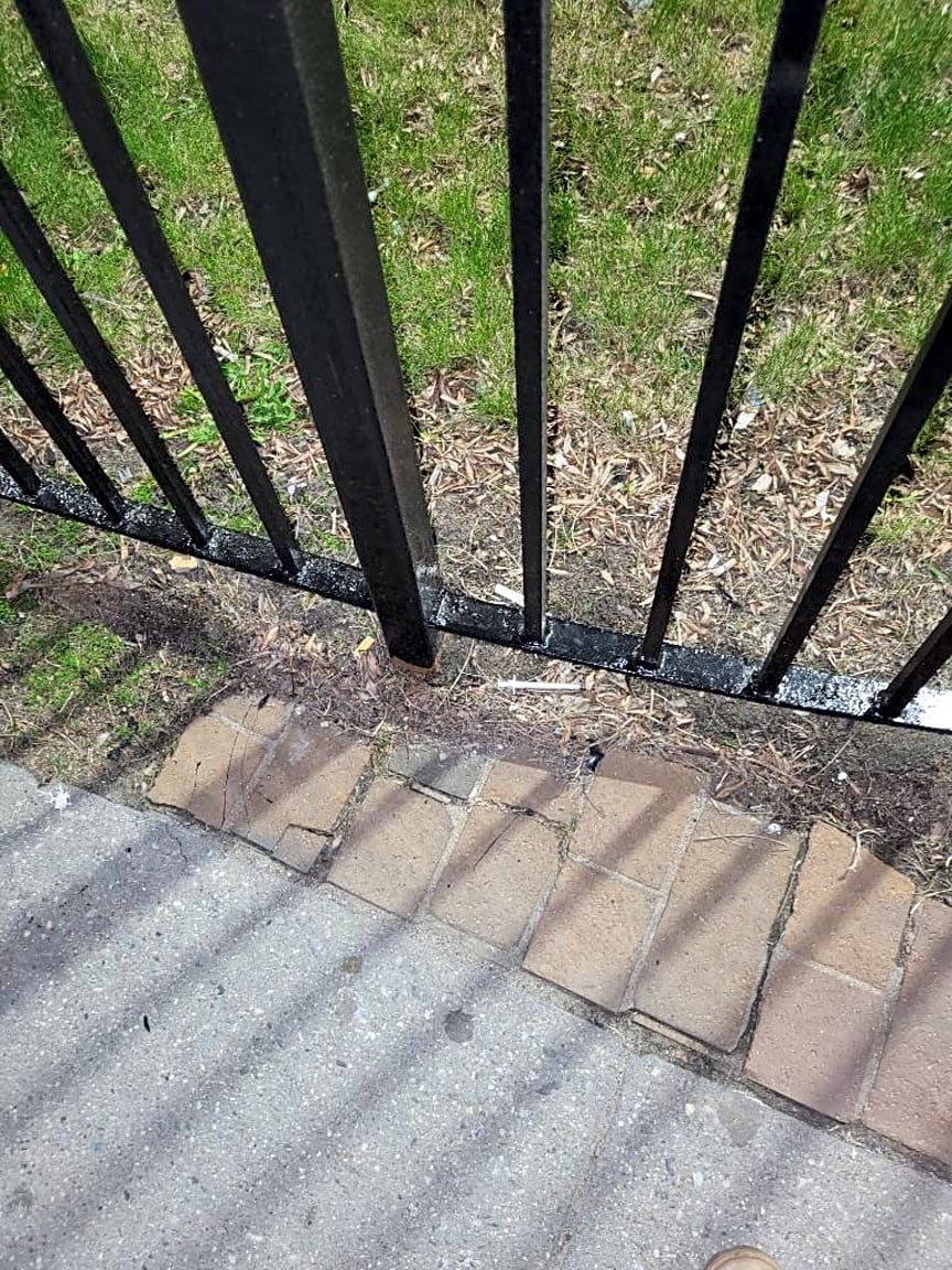 Image submitted with report