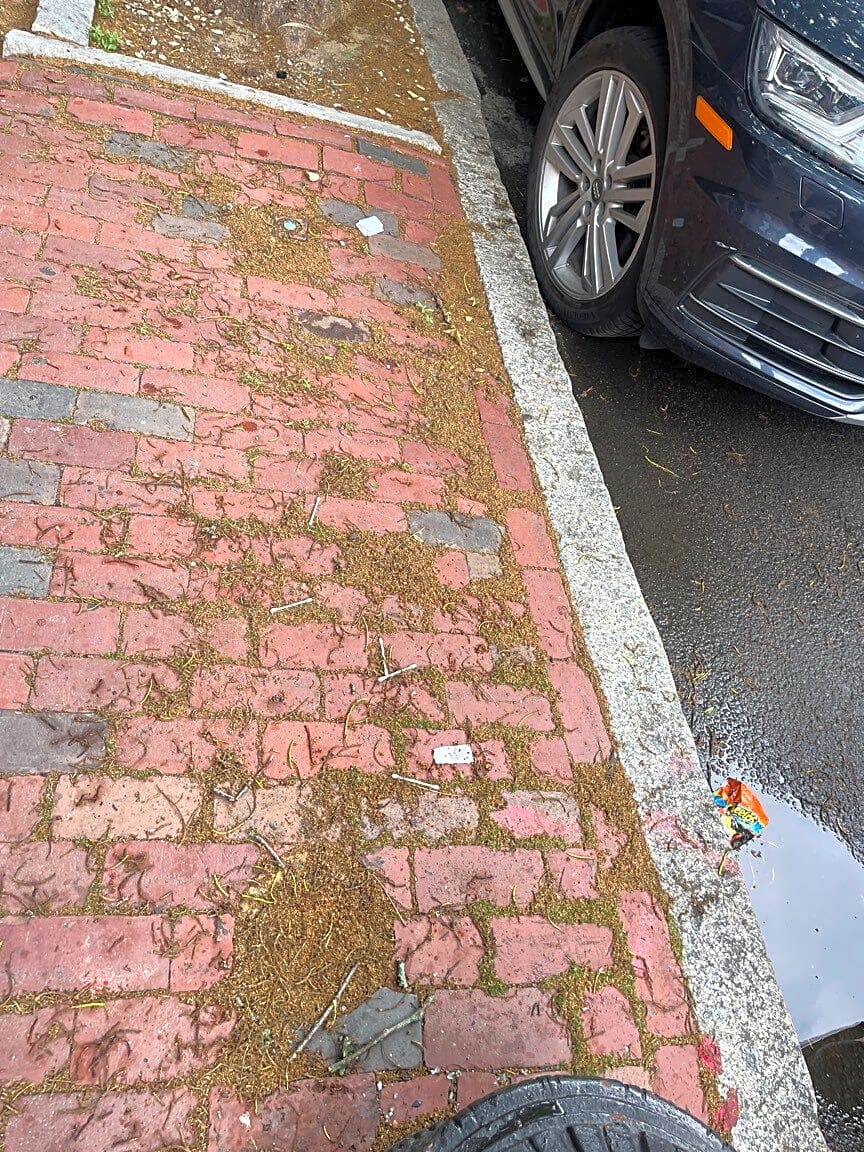 Image submitted with report