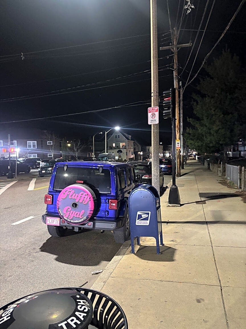 Image submitted with report