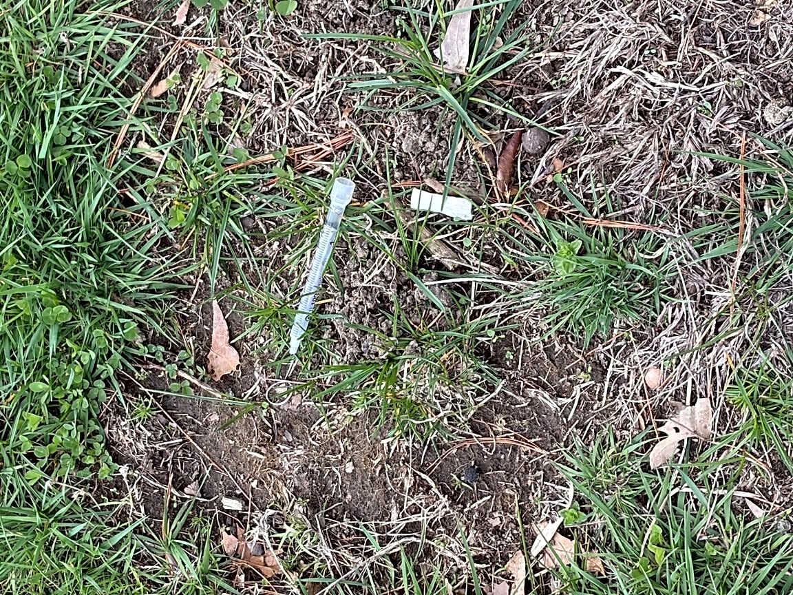 Image submitted with report