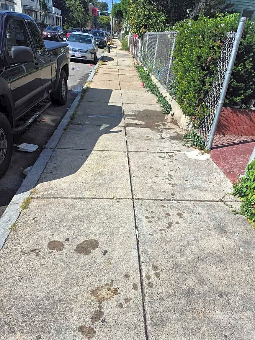 Image submitted with report