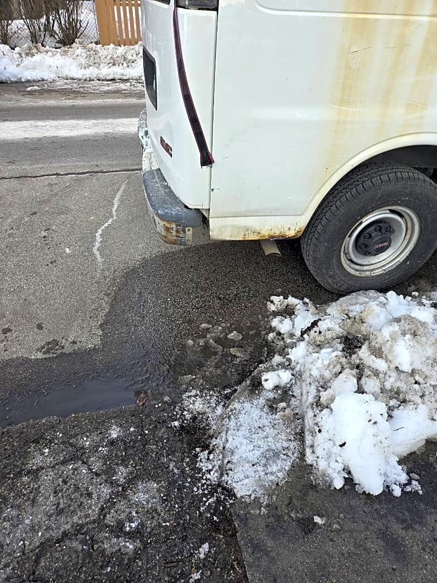 Image submitted with report