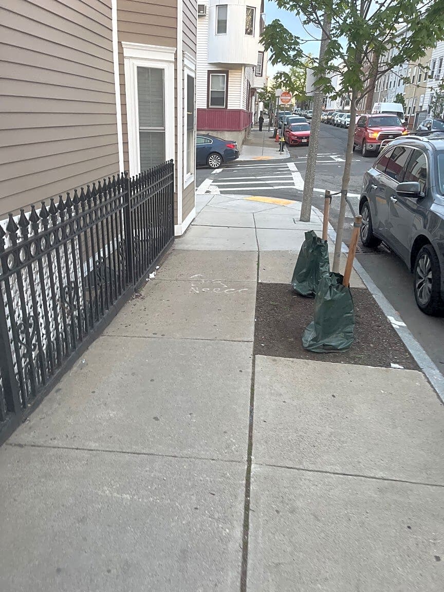 Image submitted with report
