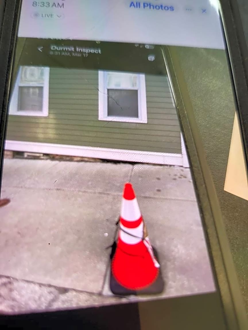 Image submitted with report