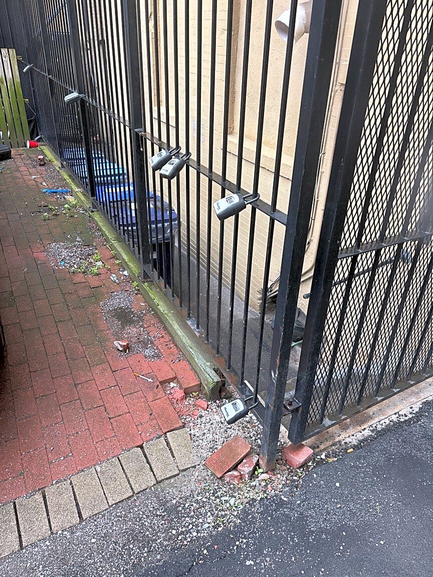 Image submitted with report