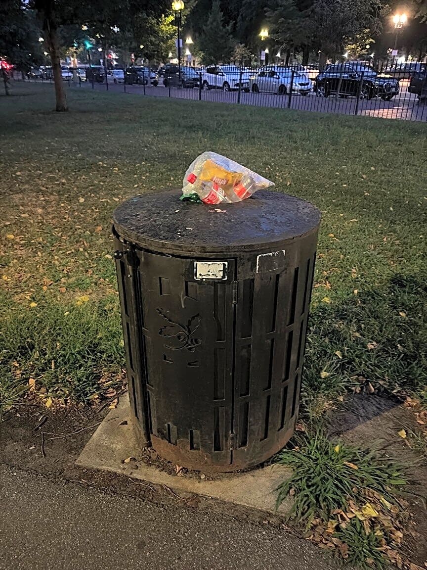 Image submitted with report
