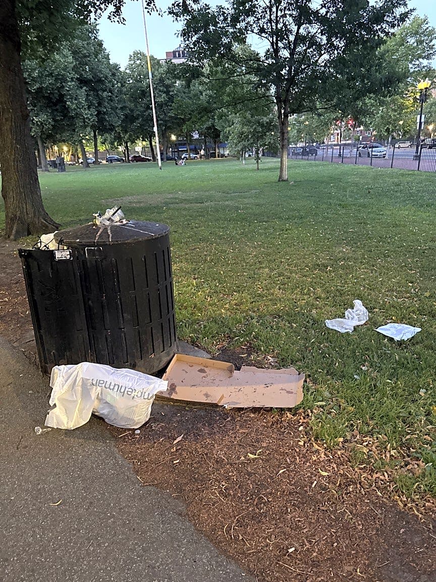 Image submitted with report