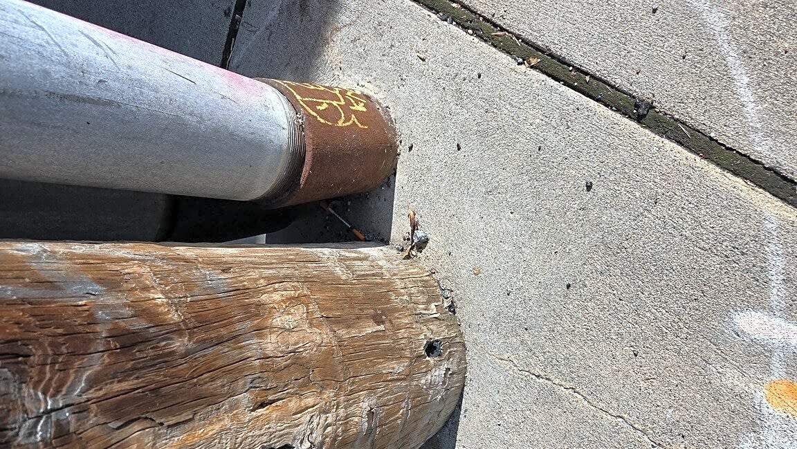 Image submitted with report