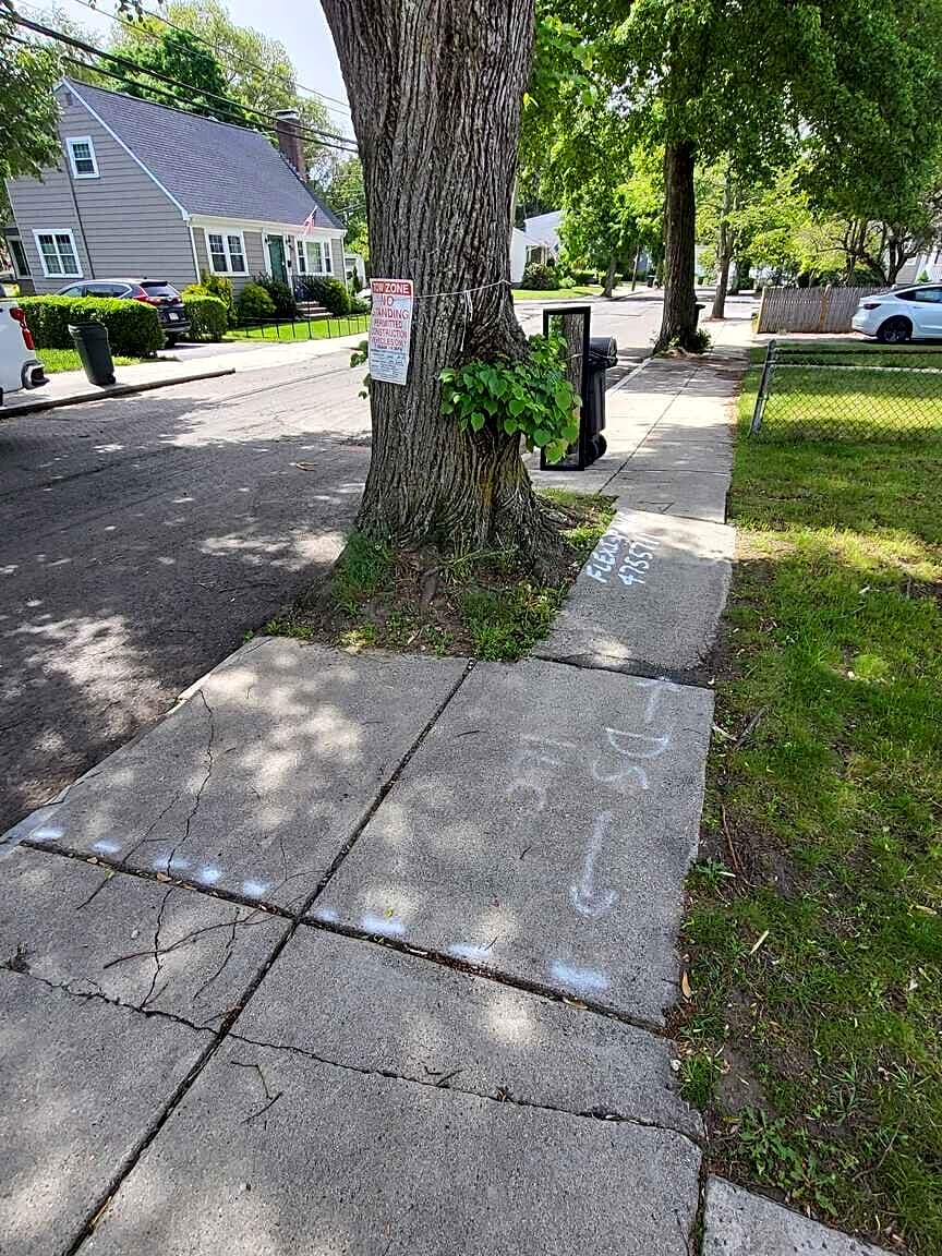 Image submitted with report