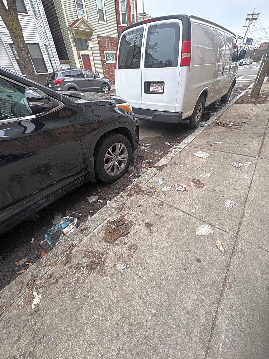 Image submitted with report