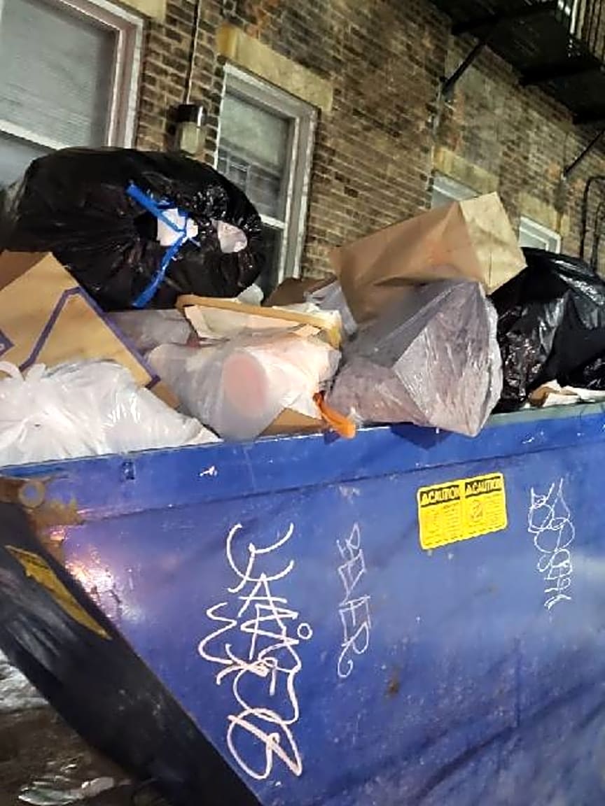 Image submitted with report