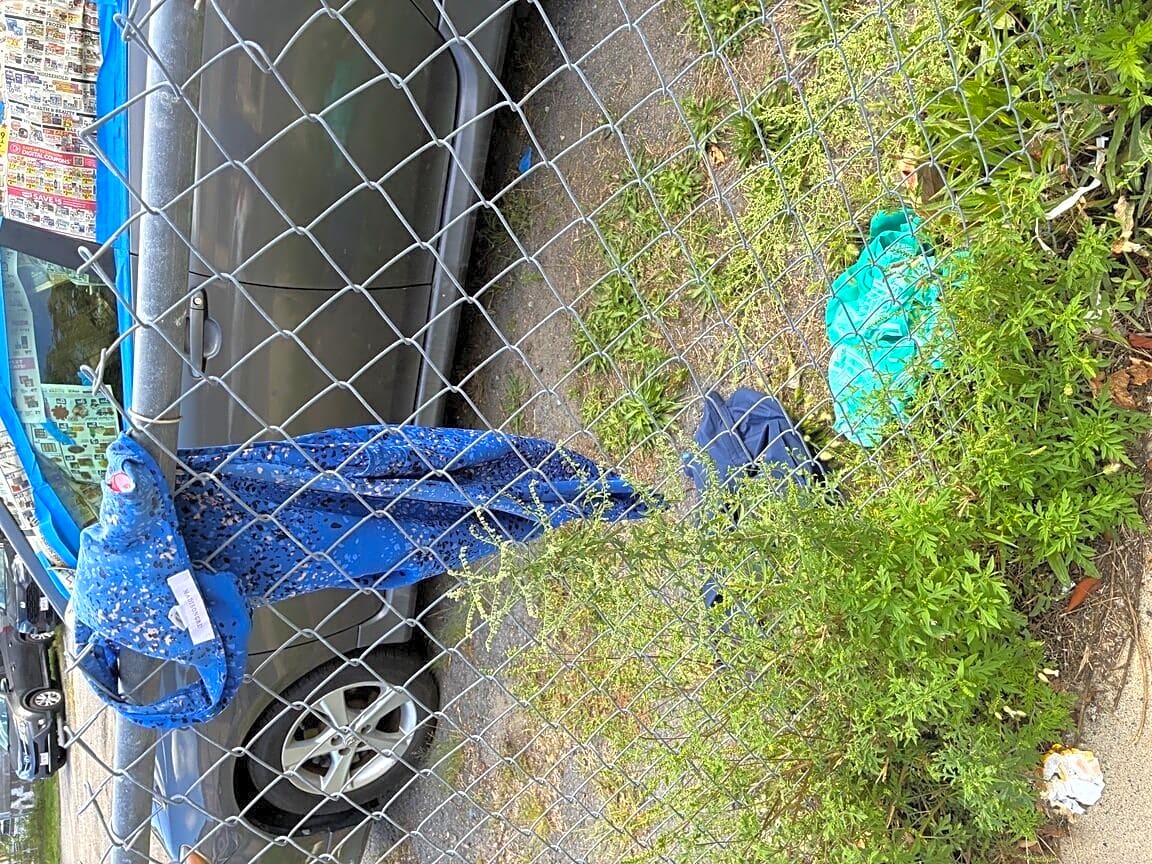 Image submitted with report