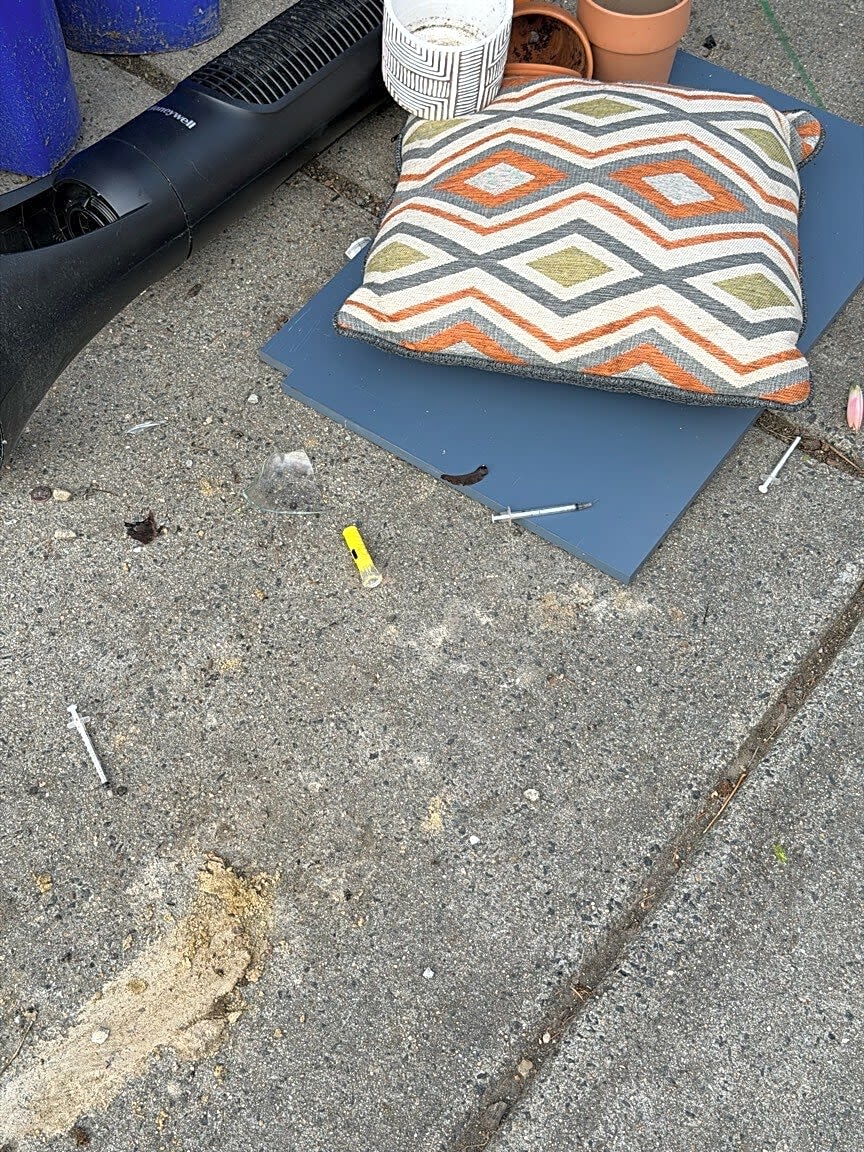 Image submitted with report