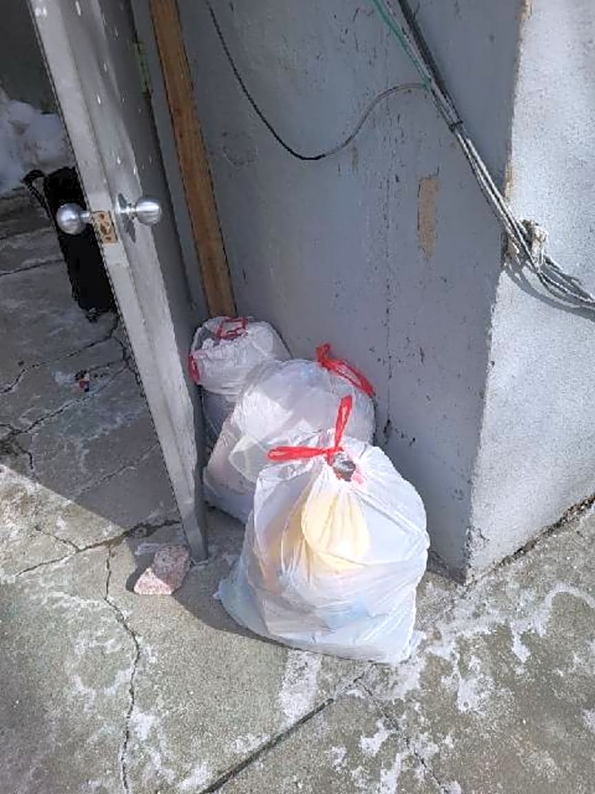 Image submitted with report