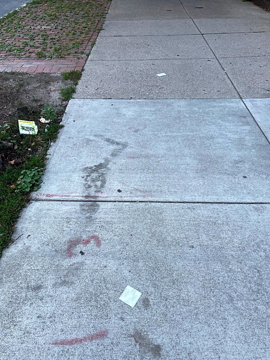 Image submitted with report