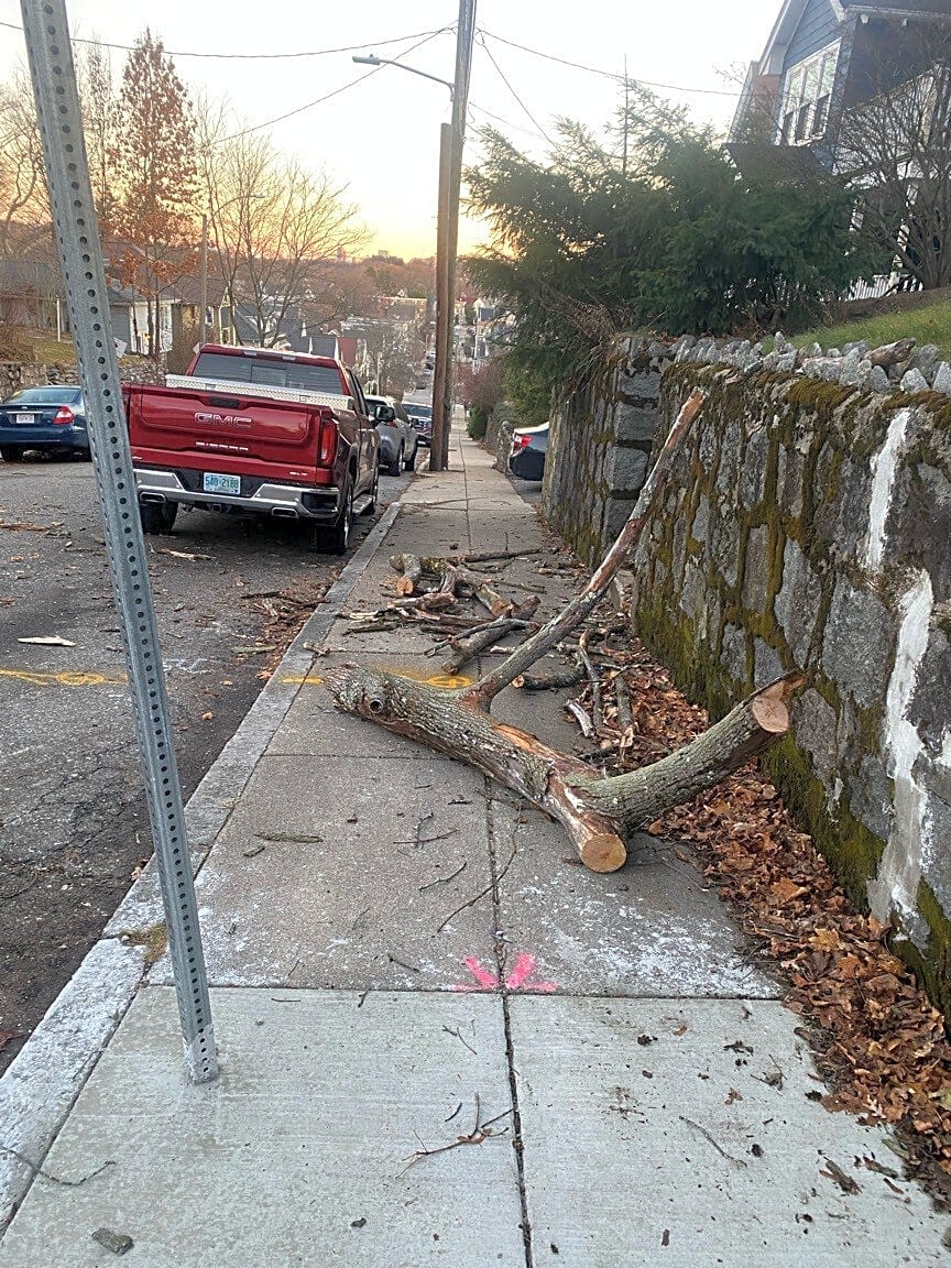 Image submitted with report