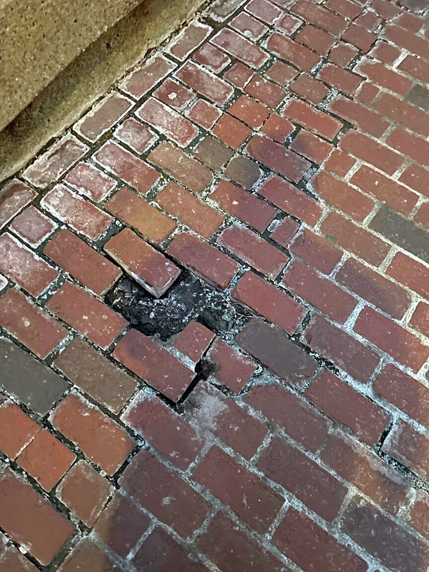 Image submitted with report