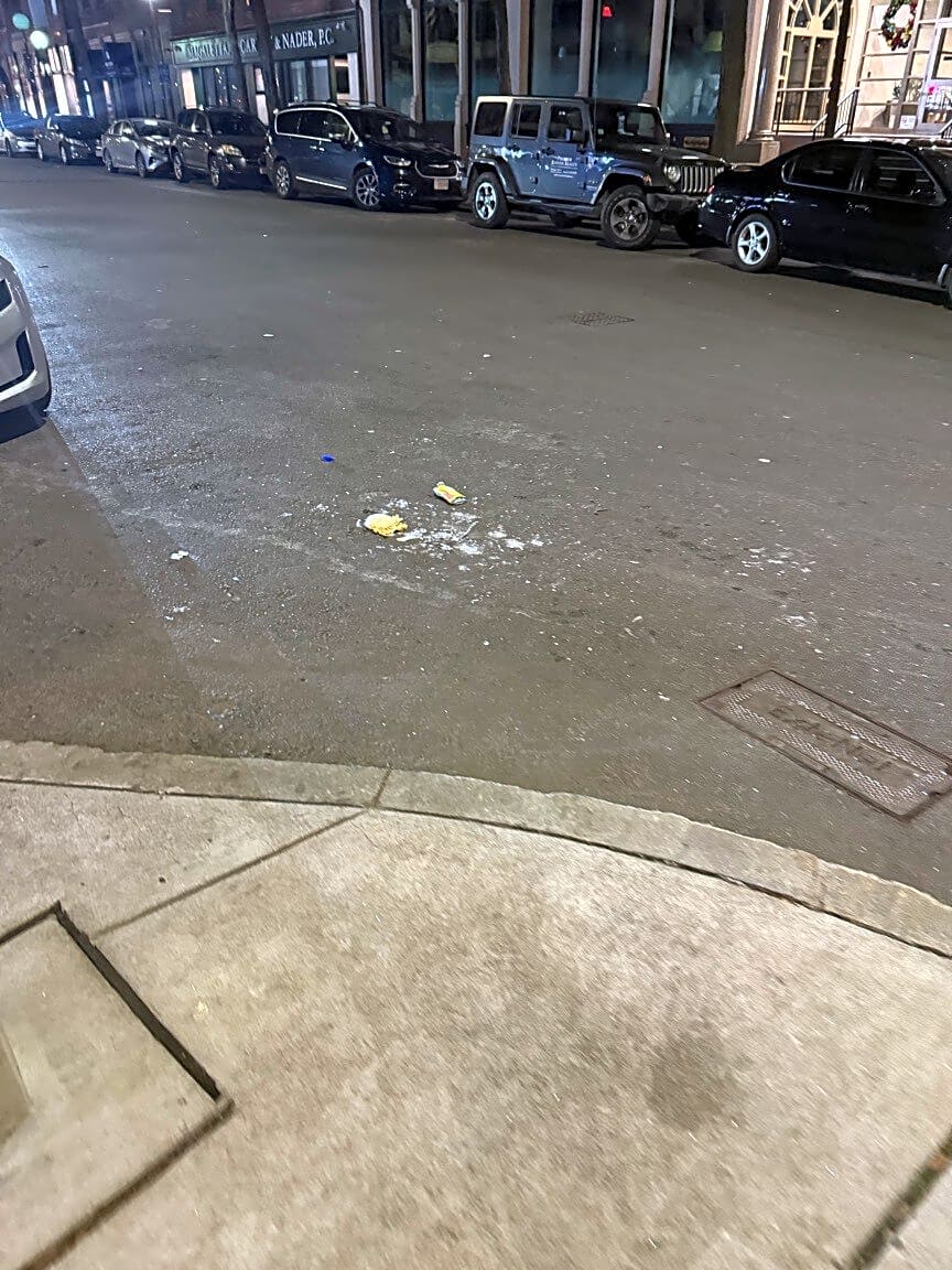 Image submitted with report