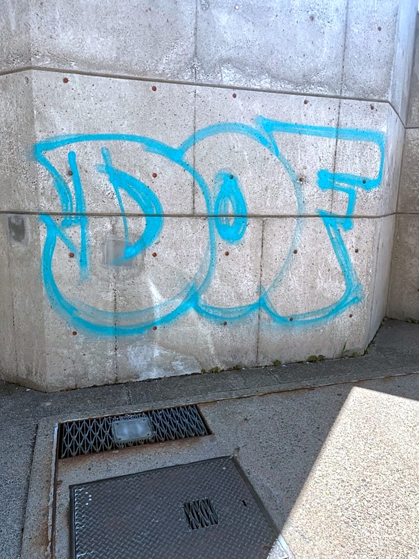 Image submitted with report