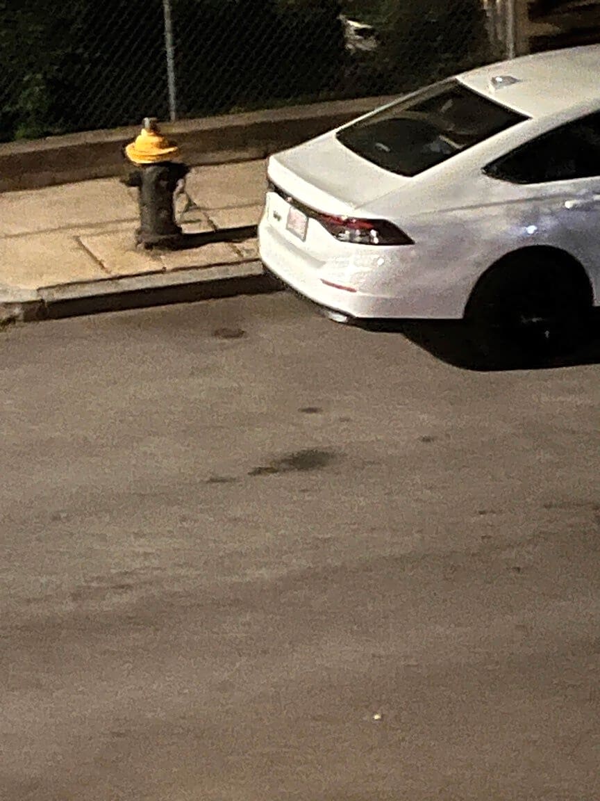 Image submitted with report
