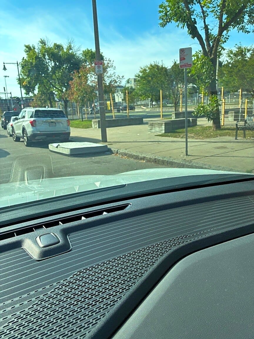 Image submitted with report