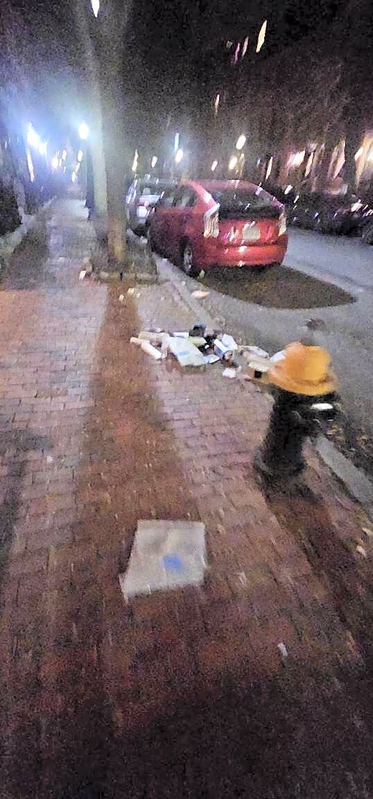 Image submitted with report