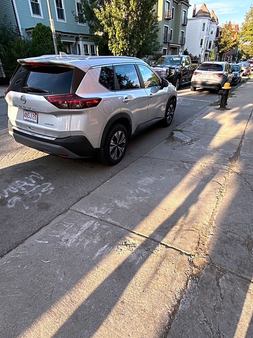 Image submitted with report