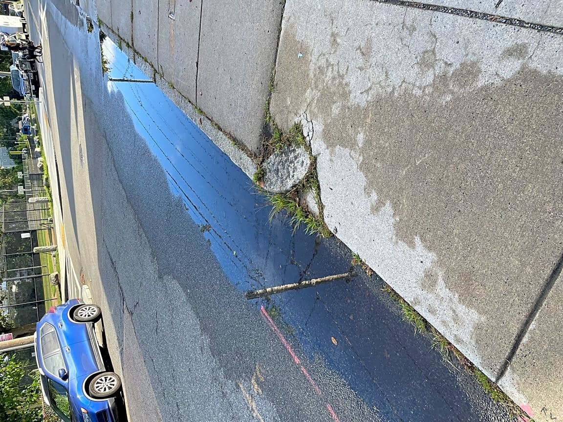 Image submitted with report